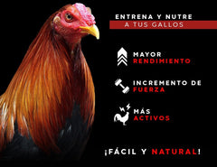 Larva de Tenebrio Proteína