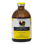 VITAMINA B12 6000 + B15