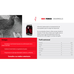 RED FORCE DESARROLLO