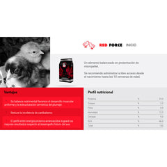 RED FORCE INICIO