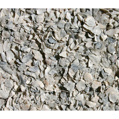 CALCIO OYSTER SHELL (CONCHA DE OSTIÓN)