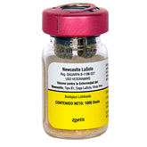 NEWCASTLE LA SOTA CON DILUENTE