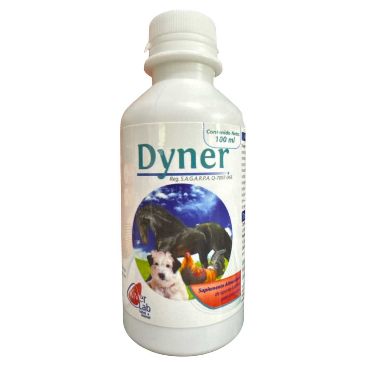 Dyner