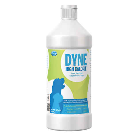 DYNE (Nueva imagen)