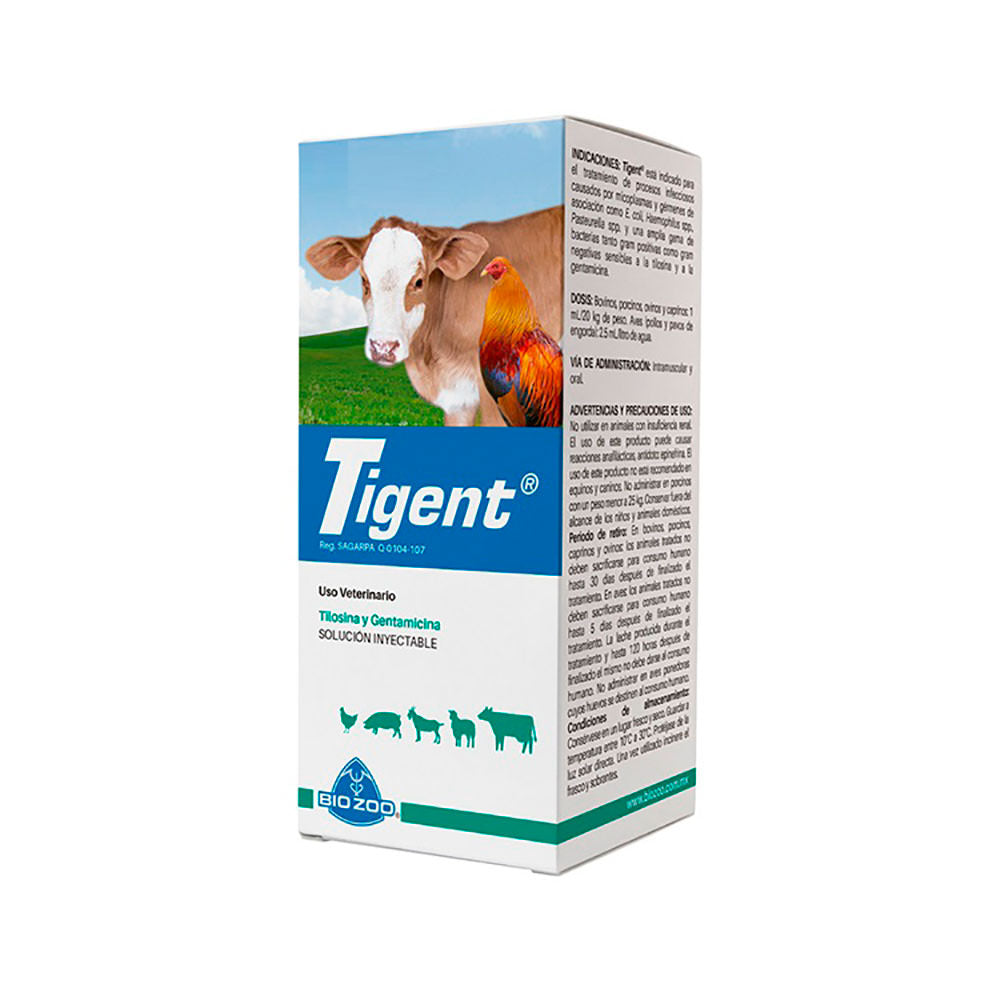 TIGENT