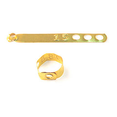 ANILLO BRONCE