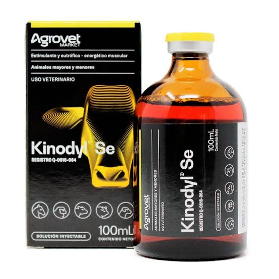 Kinodyl SE