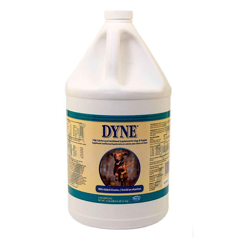 DYNE (Nueva imagen)