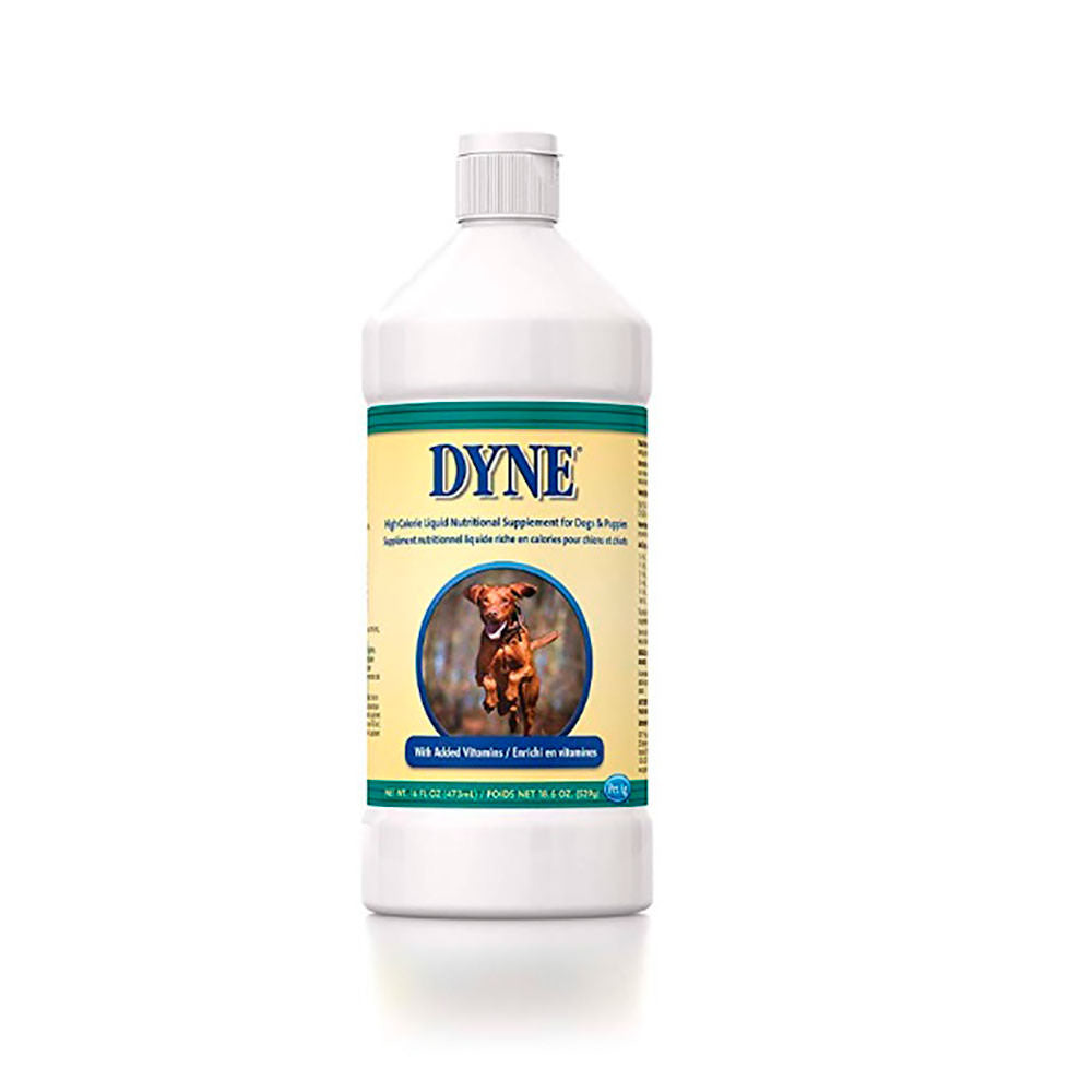 DYNE (Nueva imagen)