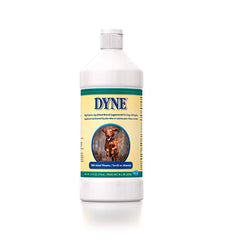 DYNE (Nueva imagen)