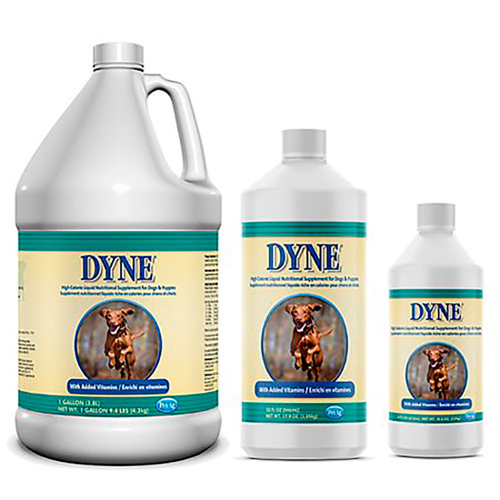 DYNE (Nueva imagen)