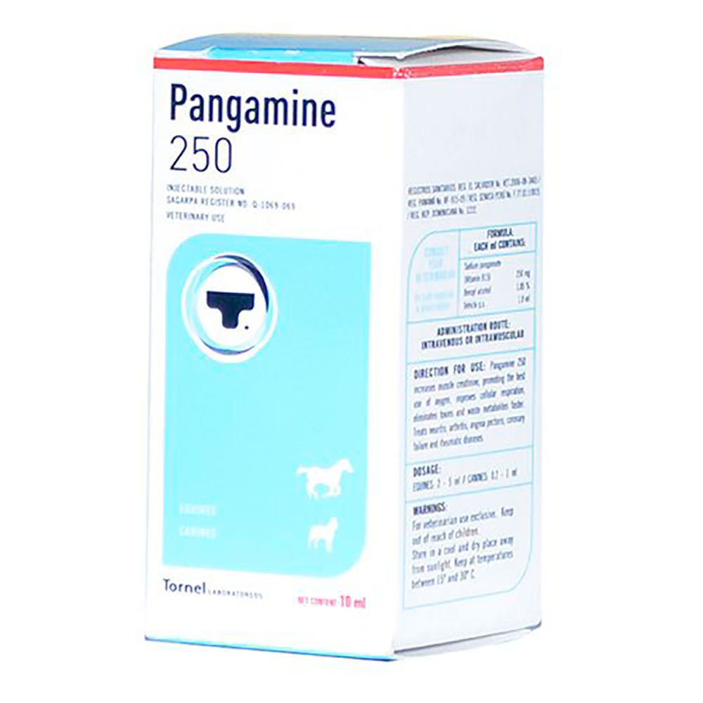 PANGAMINE 250 VITAMINA B15