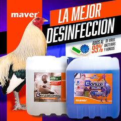 BONUX GALLERA
