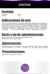 EFECTIAN ORAL