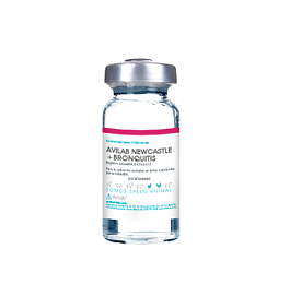 NEWCASTLE + BRONQUITIS CON DILUENTE AVILAB